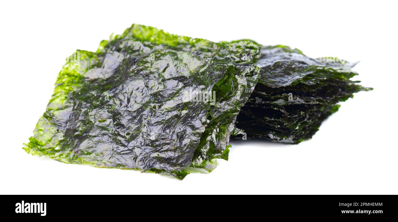 Crispy nori seaweed isolated on white background. Japanese food nori. Dry seaweed sheets Stock