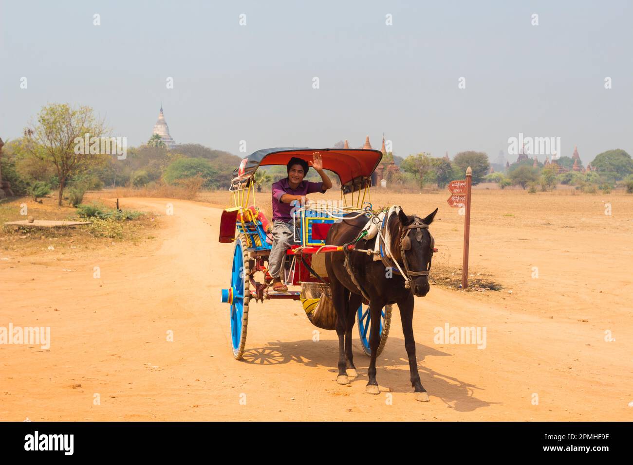 Horse cart driver waving at camera, Bagan, Myanmar (Burma), Asia Stock