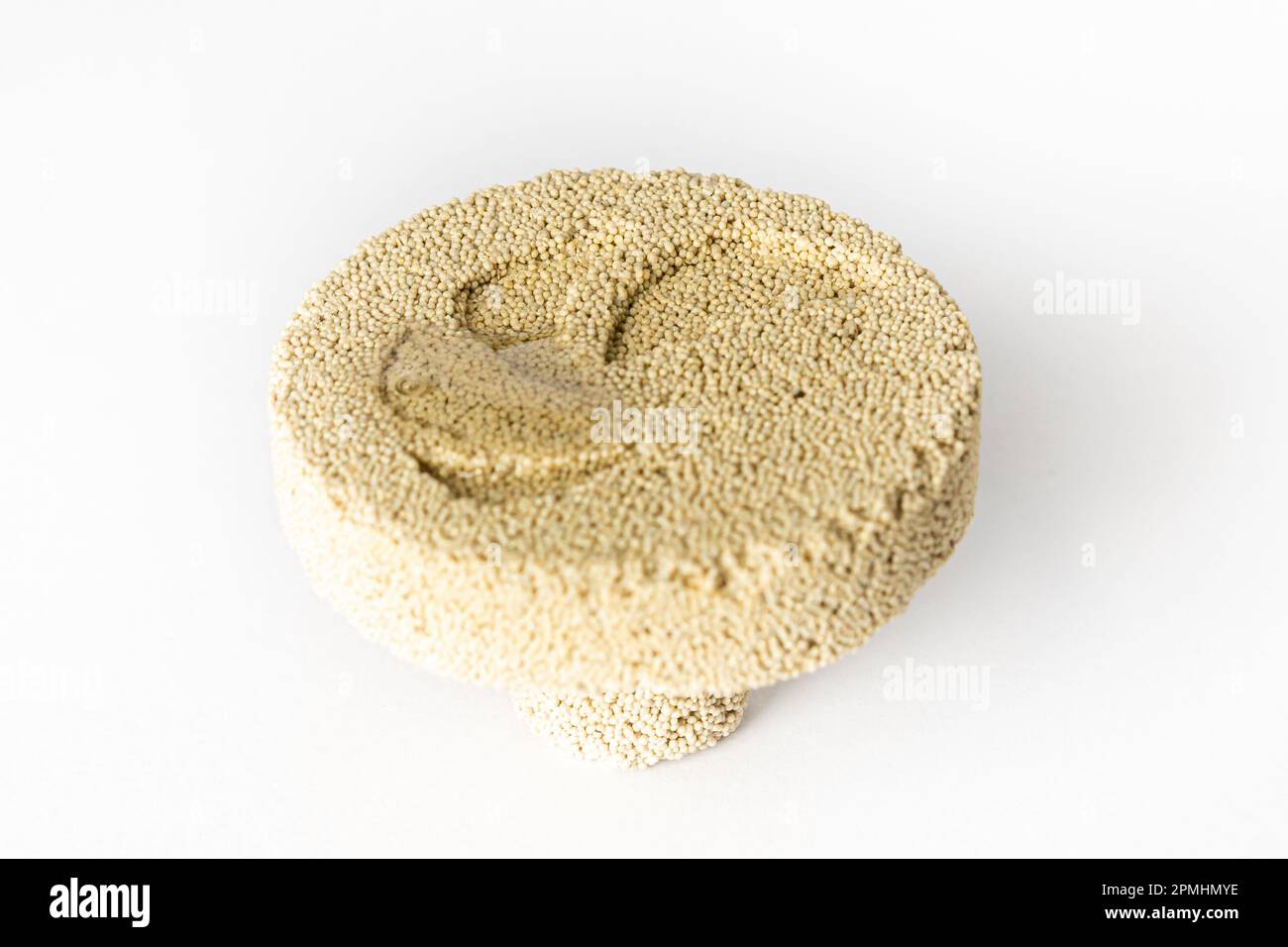 Base made of porous ceramic for fixing corals, widely used in marine aquariums. Stock Photo