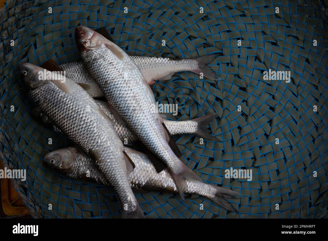 Some fresh fishes in basket for retail sale at bazaar Stock Photo