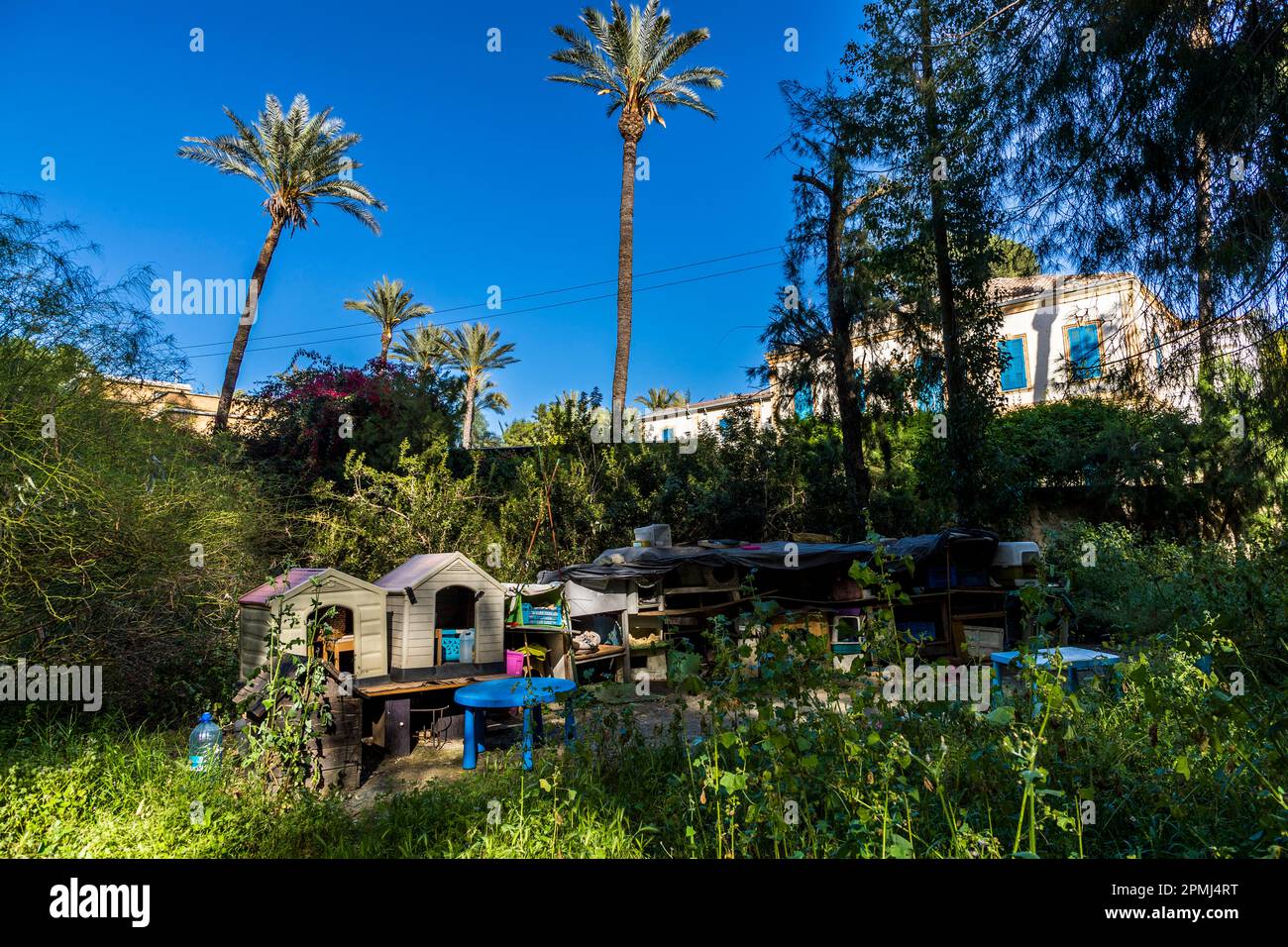 Collection of dog kennels in a park of South Nicosia Municipality, Cyprus Stock Photo