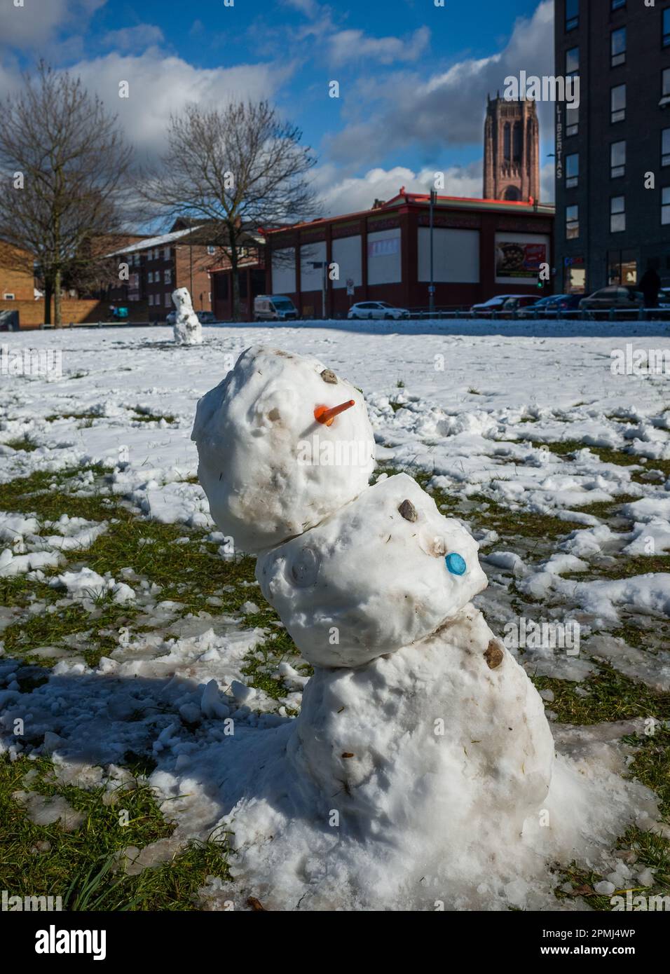 Snowmen on public green space in Liverpool with the Anglican cathedral in the background. Stock Photo