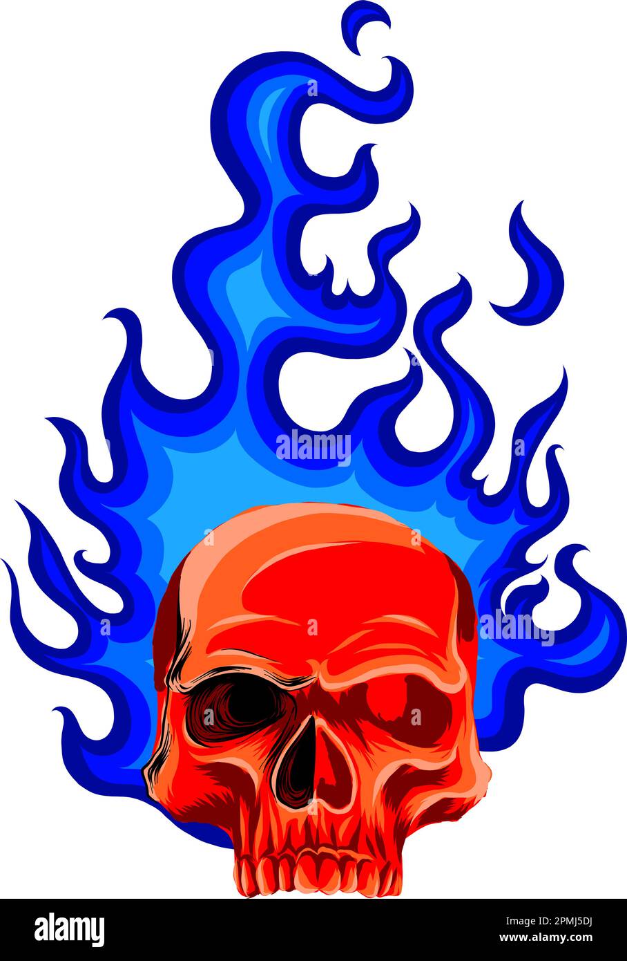 vector illustration of human skull on white background. digital hand ...