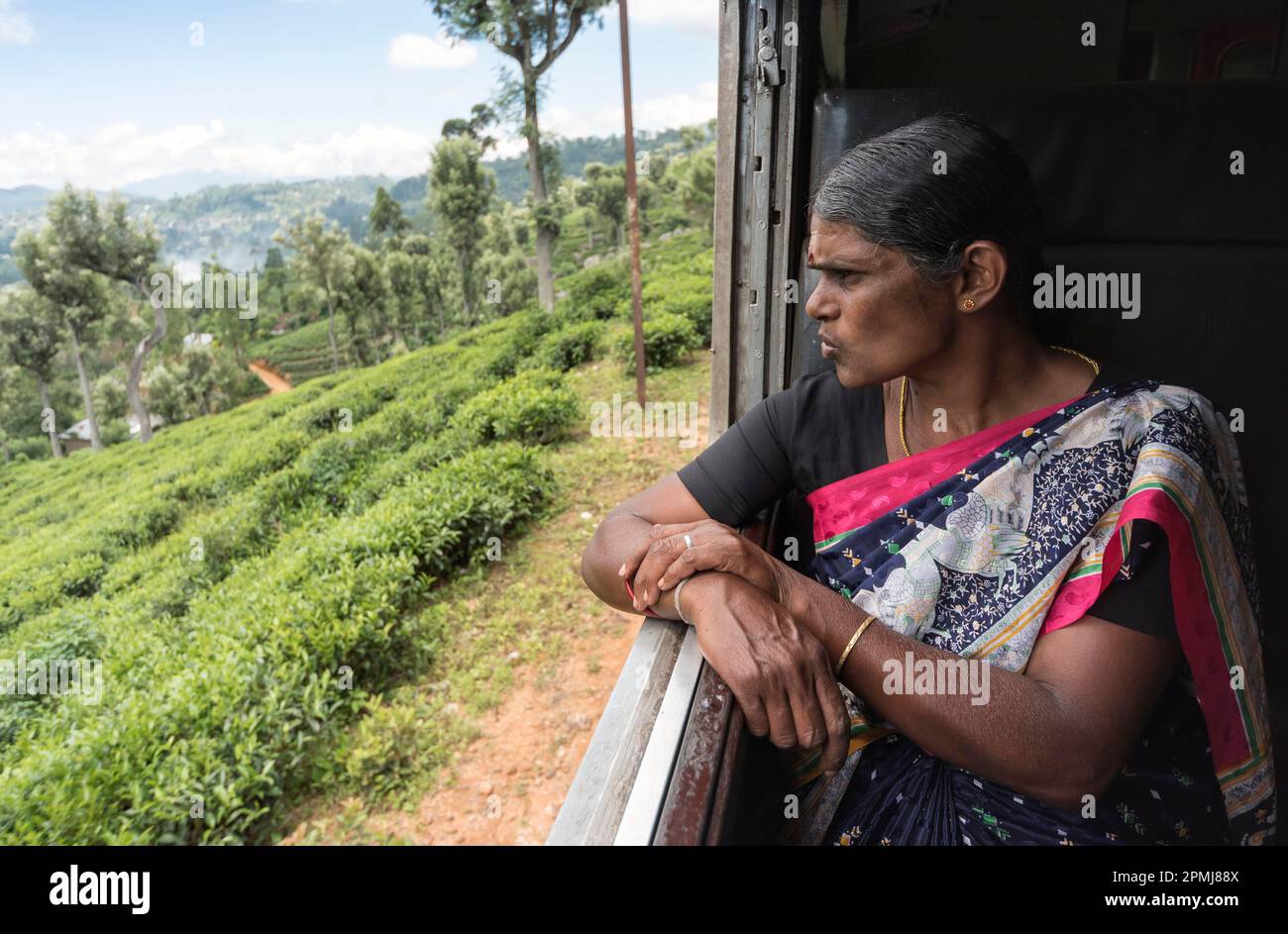 Woman looking out of train window, Haputale- Ella ride, Sri Lanka Stock ...