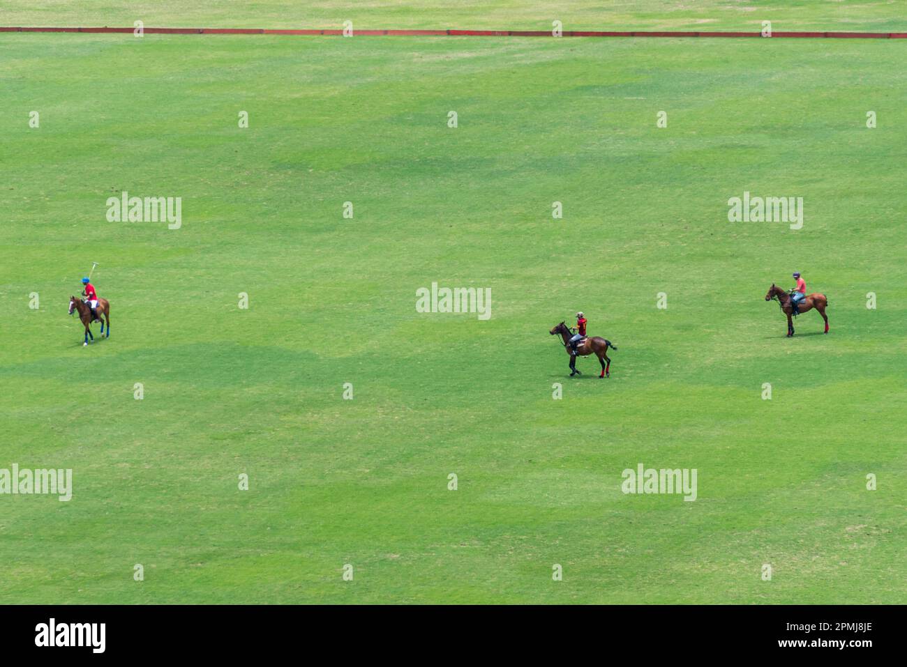 Three polo players on their horses play in a field on the outskirts of