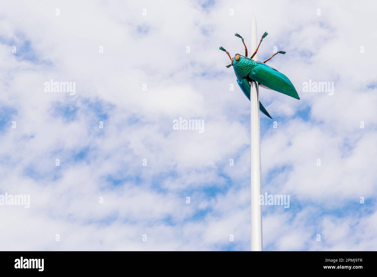Totem, the giant beetle. Leuven, Flemish Community, Flemish Region, Belgium, Europe Stock Photo