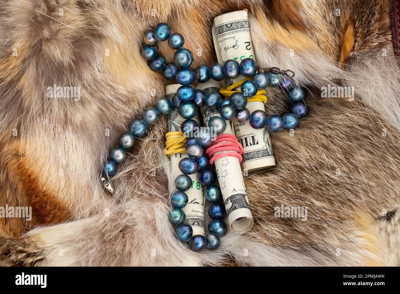 dollars rolled up under an elastic band lie on a piece of fur and pearl beads Stock Photo