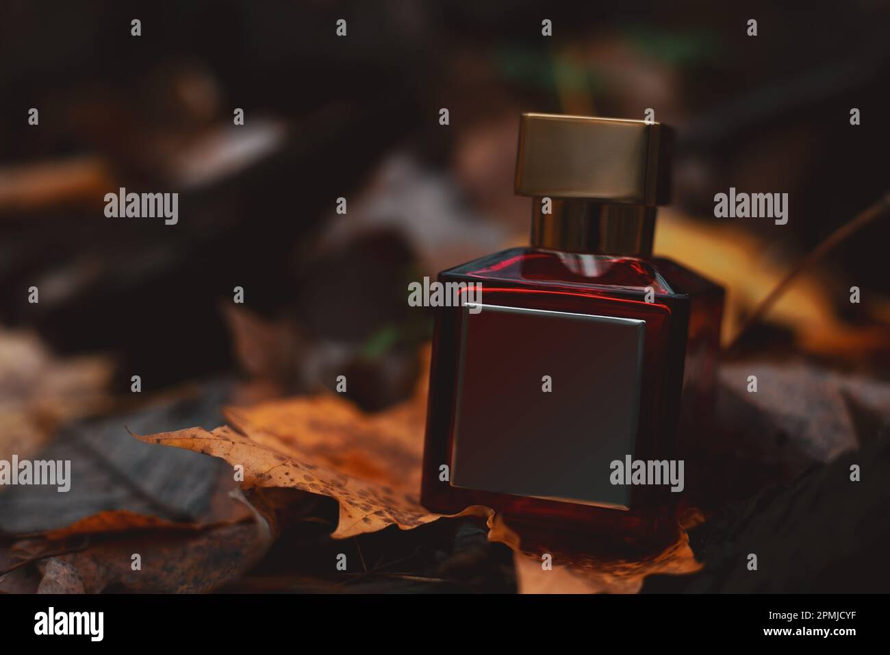 Female bootle of perfume Stock Photo - Alamy