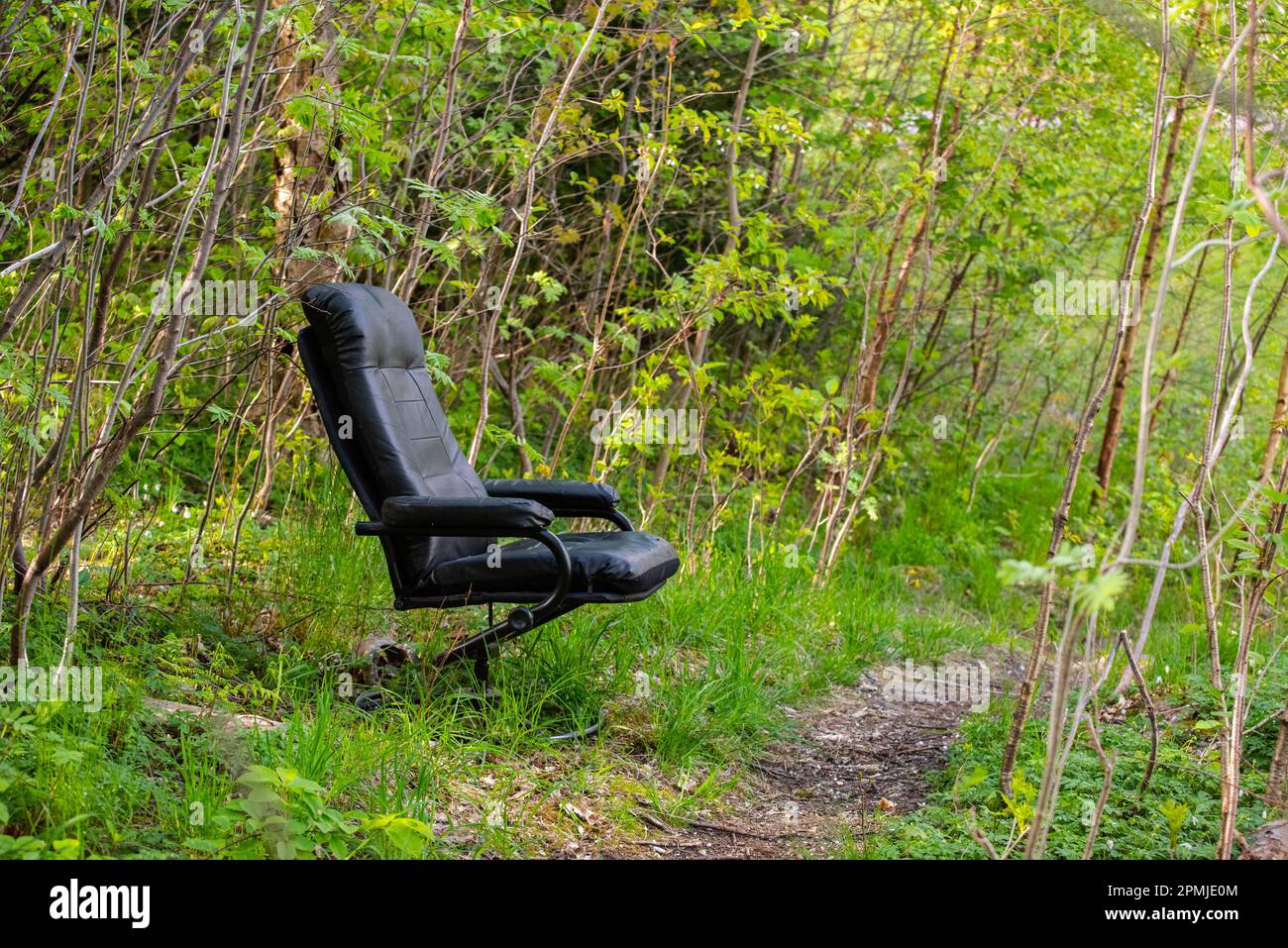 A misplaced recliner chair by a forest path Stock Photo