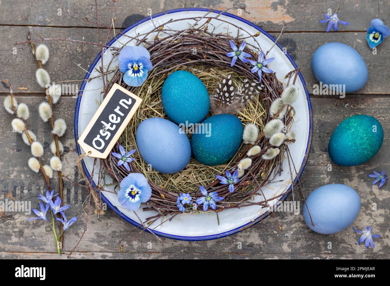 easter nest with blue painted eggs and spring flowers Stock Photo
