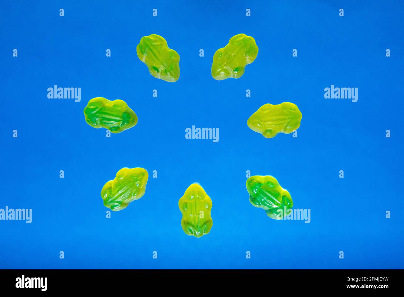 The seven gummy frogs on the blue background. Sweet food. Stock Photo