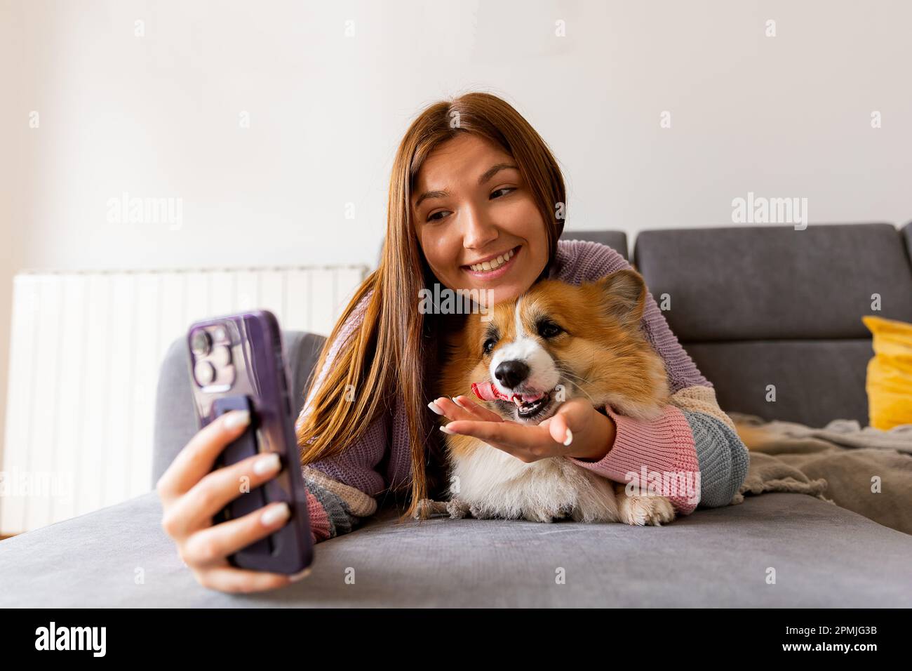 a young girl with a corgi dog and taking selfie with pet on smartphone camera. Concept stay at home, friendship with dog, taking picture. Stock Photo