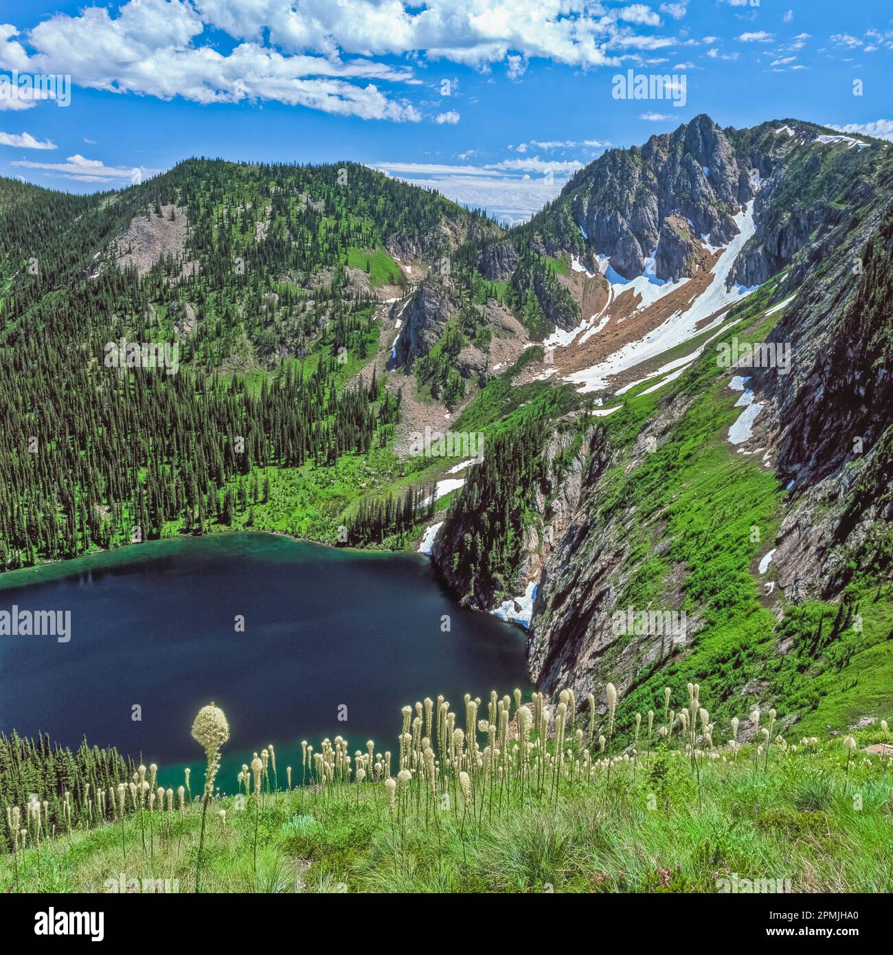 beargrass in bloom above cliff lake below eagle cliff in the bitterroot range along the