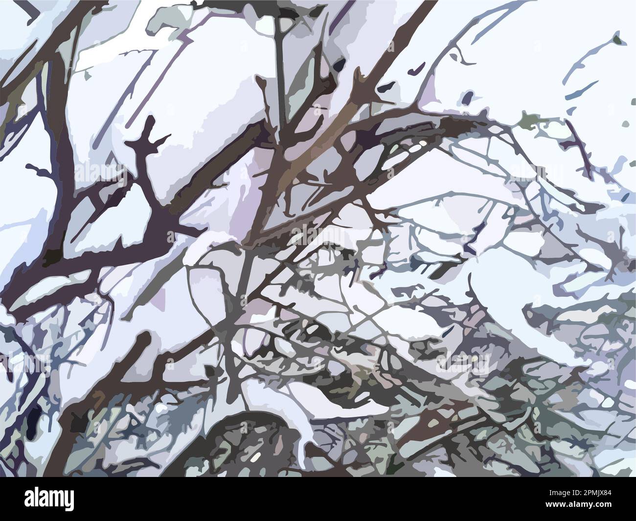 Covered trees - winter motifs for backgrounds or textures. Winter