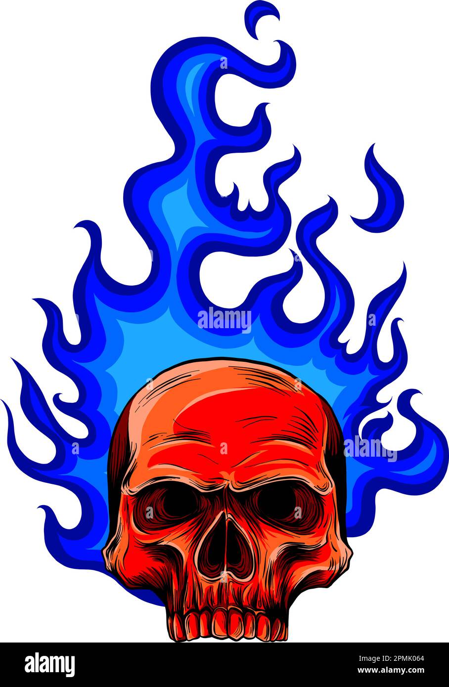 vector illustration of human skull on white background. digital hand ...