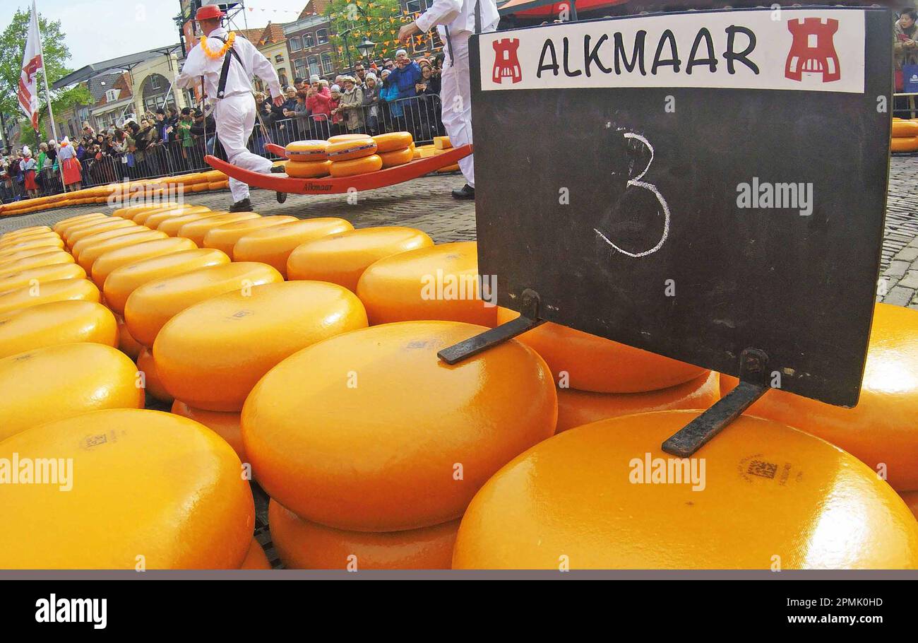 The cheese market Alkmaar.A festival for the public where Alkmaar