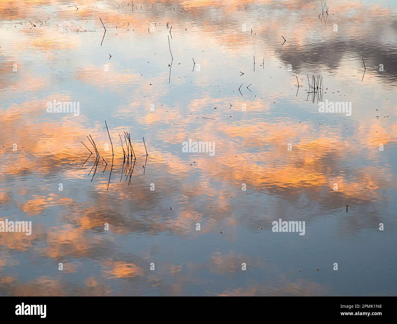 riflessi di cielo e nuvole in un acquitrino. Nurra, Sassari. , Sardegna. Stock Photo