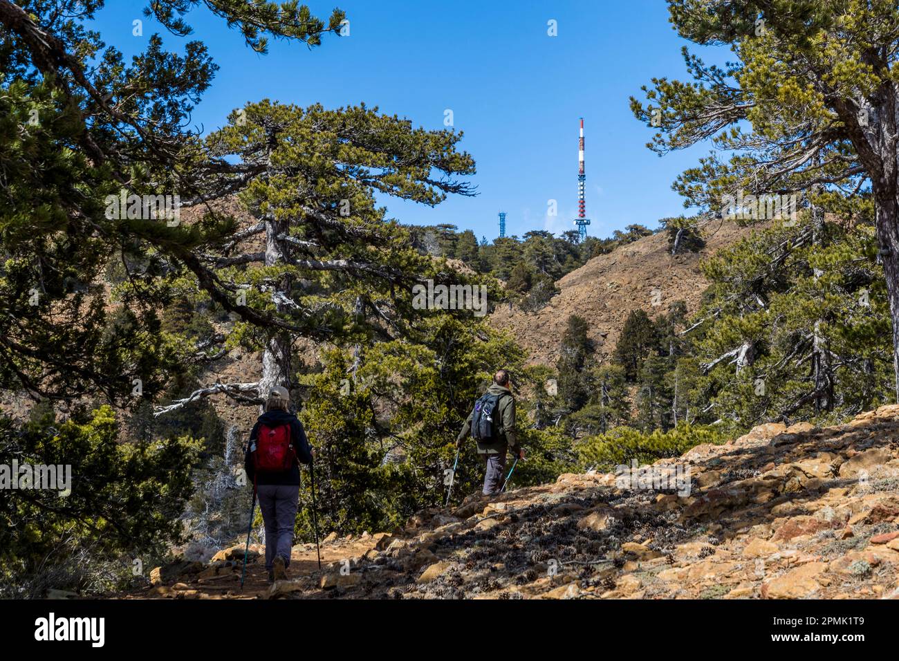 Hiking in the Troodos Mountains, Cyprus Stock Photo Alamy