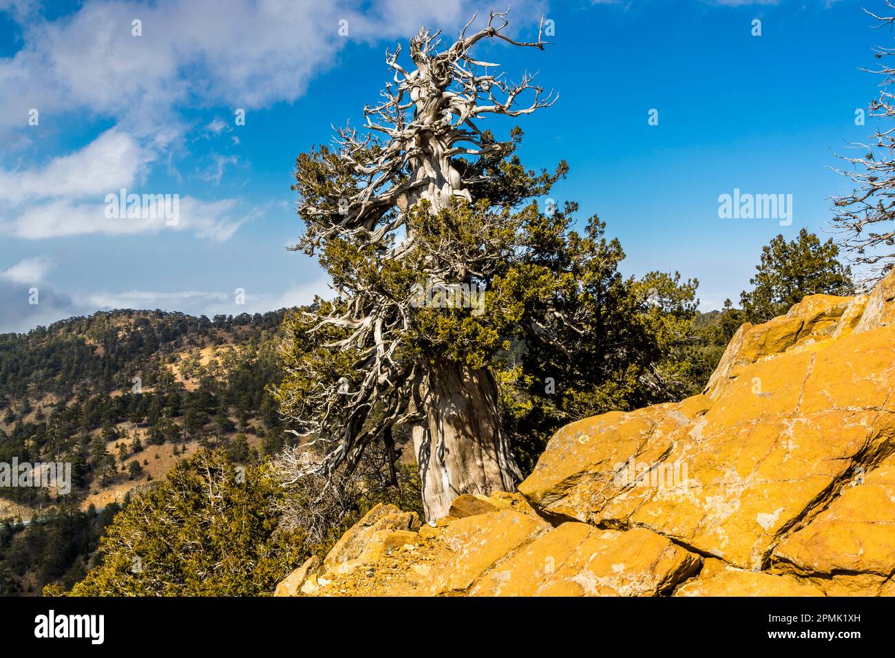 Rocky slope reach hi-res stock photography and images - Alamy