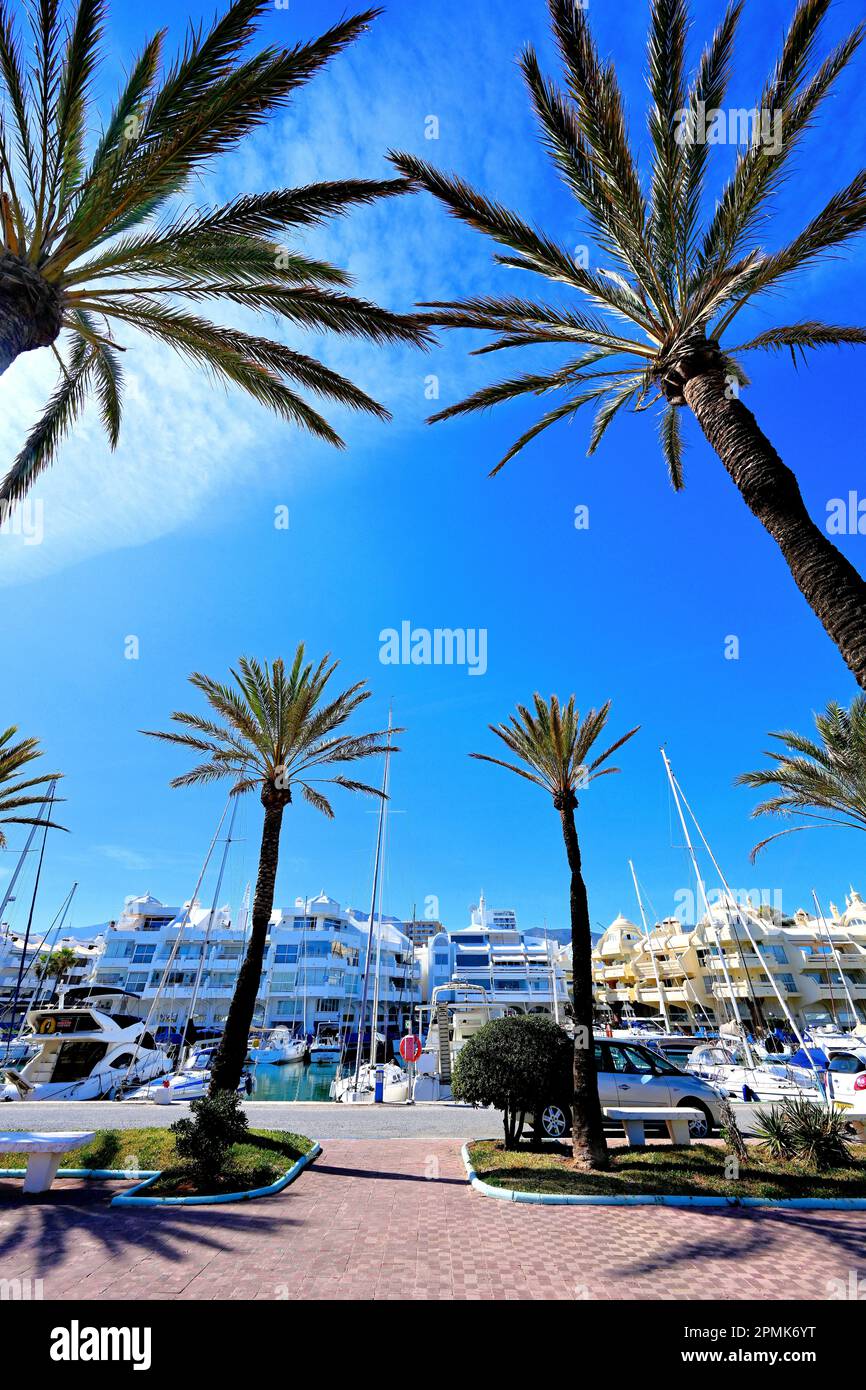 Malaga Benalmadena Yacht Marina spectacular white marina buildings with