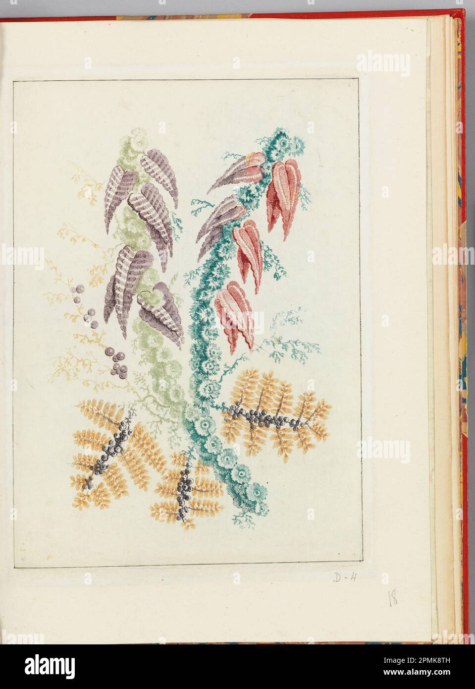 Print, Ornamental Design with Triangular Purple and Red leaves, from Nouvelle suite de cahiers de flerurs naturelle a l'usage des dessinateurs et des peintres, No.1; Designed by Jean-Baptiste Pillement (French, 1728–1808); Etched by Anne Allen (English, active France, ca. 1750–1810); France; etching with colored inks à la poupé on cream laid paper tipped in cream paper; Sheet: 25.1 x 19.7 cm (9 7/8 x 7 3/4 in.) Platemark: 20 x 14 cm (7 7/8 x 5 1/2 in.) Stock Photo