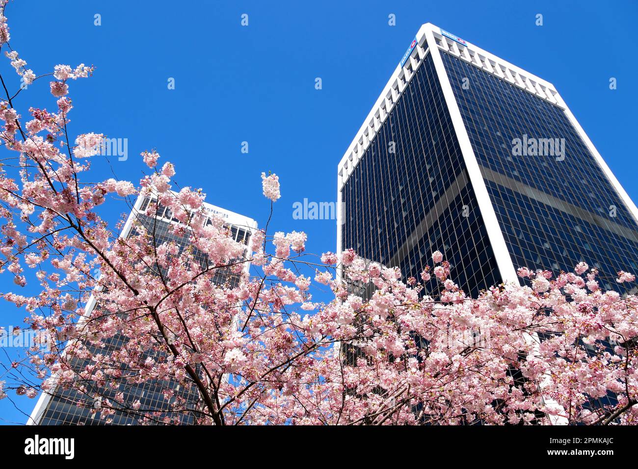 how to write an essay in philosophy