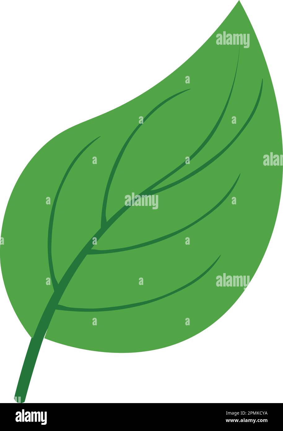 A Simple Leaf Stock Vector
