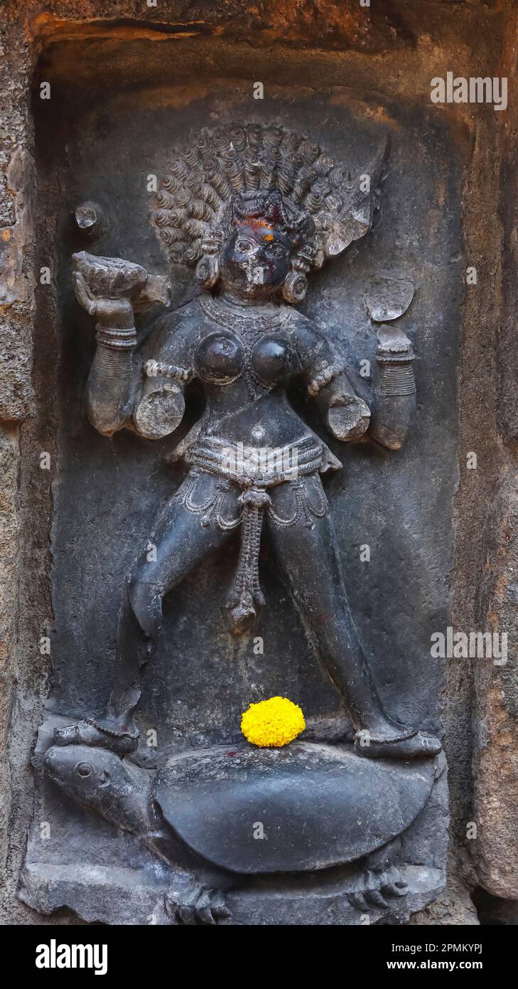 Statue of Yamuna Yogini, Chausath Yogini Temple, Hirapur, Bhubaneshwar, Odisha, India. Stock Photo