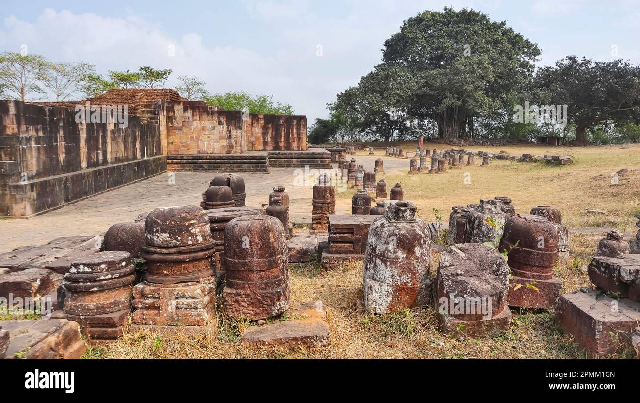 Ruins of Ratnagiri Buddhist Monastery, Odisha, India. Stock Photo