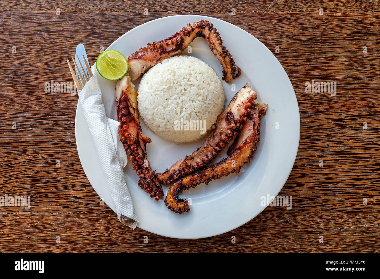 Fried octopus tentacles with white rice on a plate, close up, top view