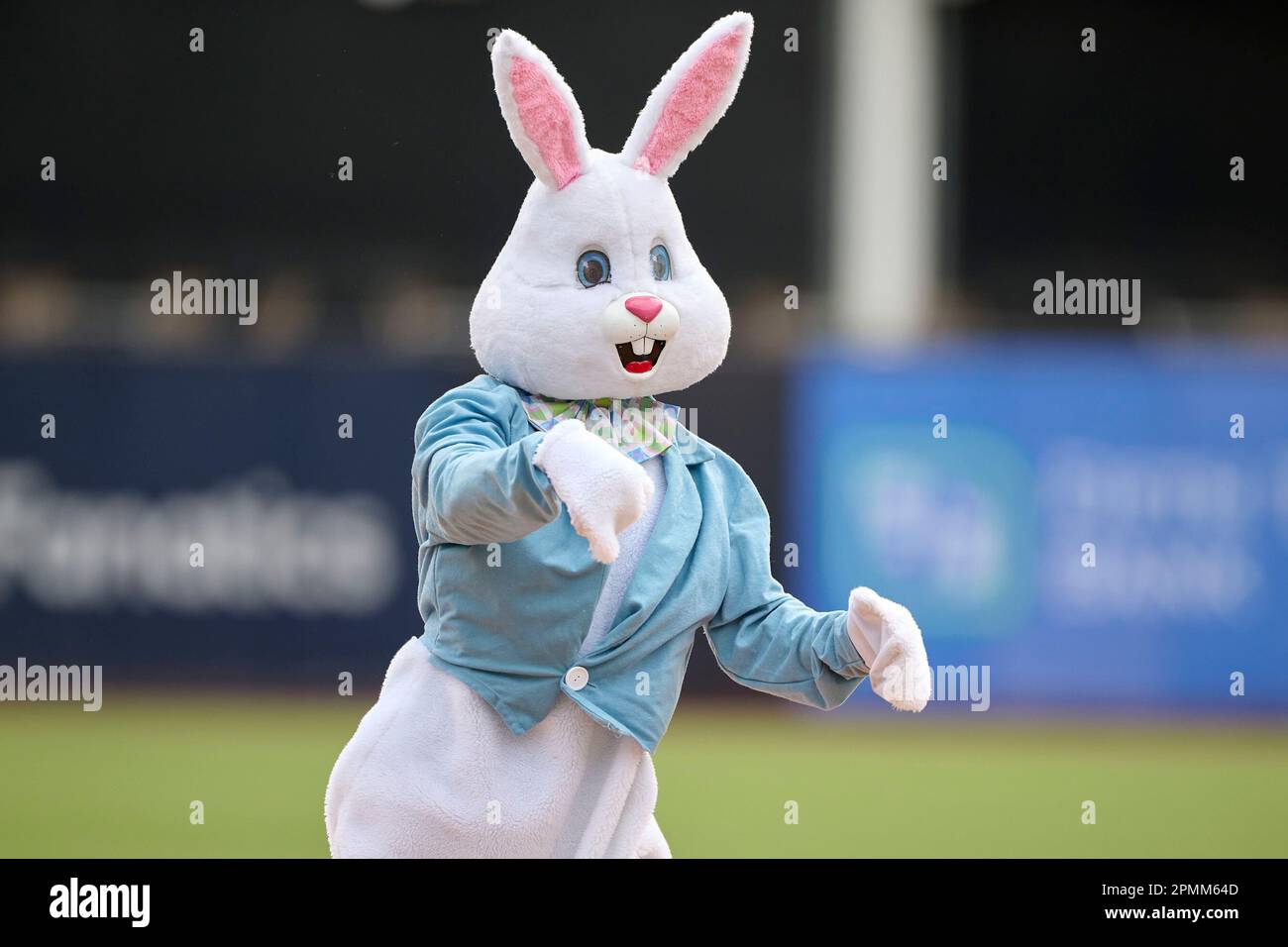 Tampa Tarpons guest the Easter Bunny throws out the ceremonial