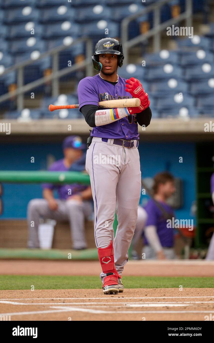 Fort Myers Mighty Mussels Carlos Aguiar (13) bats during an MiLB