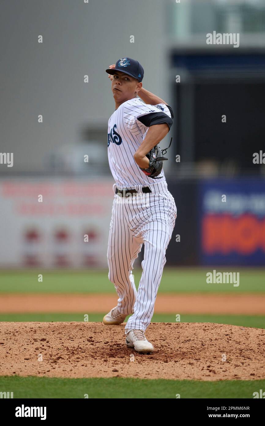 Tampa Tarpons pitcher Yorlin Calderon (2) during an MiLB Florida State  League baseball game against the Lakeland Flying Tigers on April 9, 2023 at  George M. Steinbrenner Field in Tampa, Florida. (Mike