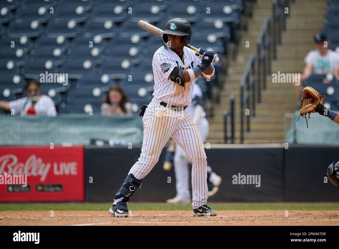 Tampa Tarpons Daury Arias (24) bats during an MiLB Florida State League  baseball game against the Lakeland Flying Tigers on April 9, 2023 at George  M. Steinbrenner Field in Tampa, Florida. (Mike