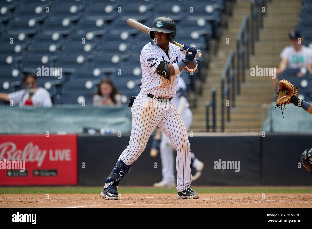 Tampa Tarpons outfielder Daury Arias (24) throwing during an MiLB Florida  State League baseball game against the Lakeland Flying Tigers on April 9,  2023 at George M. Steinbrenner Field in Tampa, Florida. (