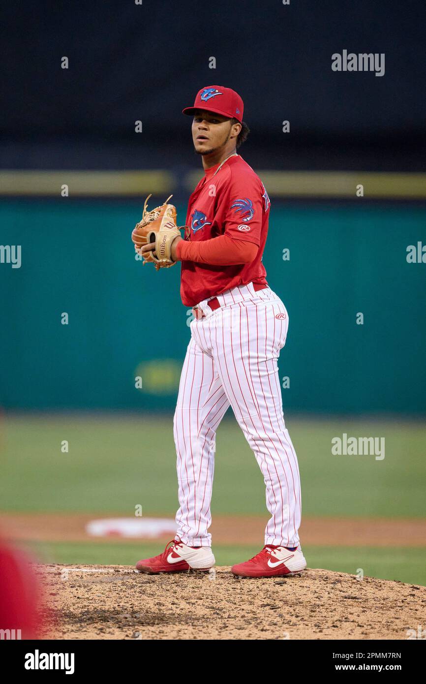 Clearwater Threshers pitcher Jonh Henriquez (6) during an MiLB Florida