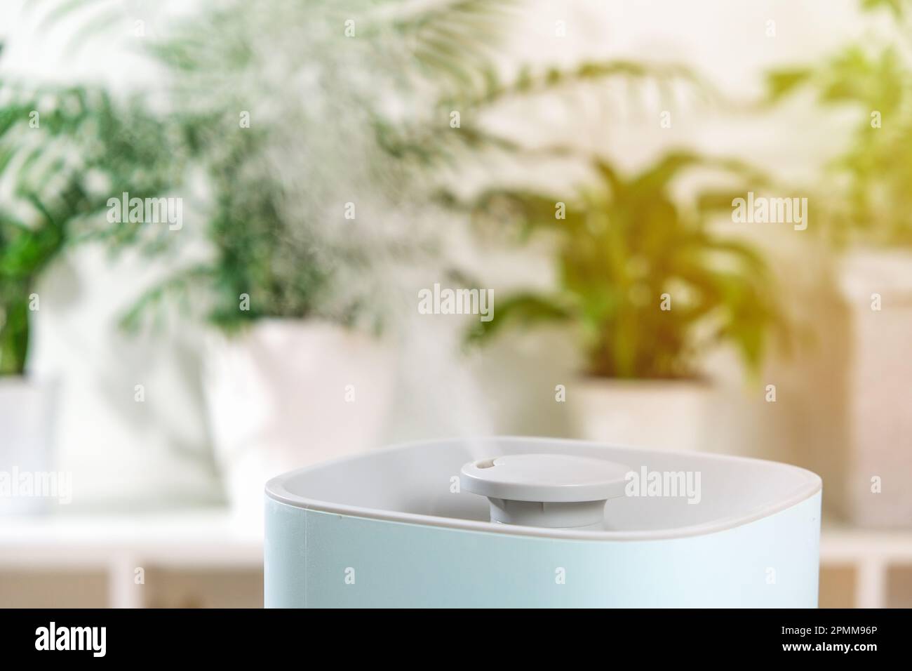 The ultrasonic humidifier releases cold steam. Care and hydration of