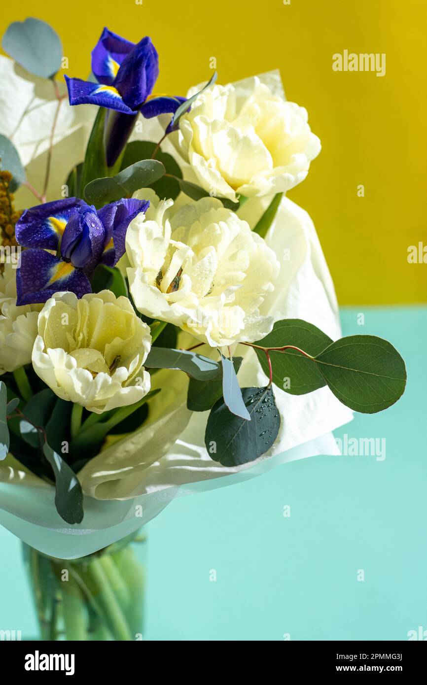 Spring bouquet of flowers. Irises, tulips, mimosa and eucalyptus. Yellow and blue flower. Bud close-up. Floral background. Purple iris, white double tulip. Gift. March mood. Stock Photo