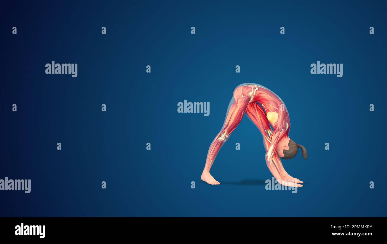 Yoga Pose: Eight Limbed Salutation Pose | YogaClassPlan.com