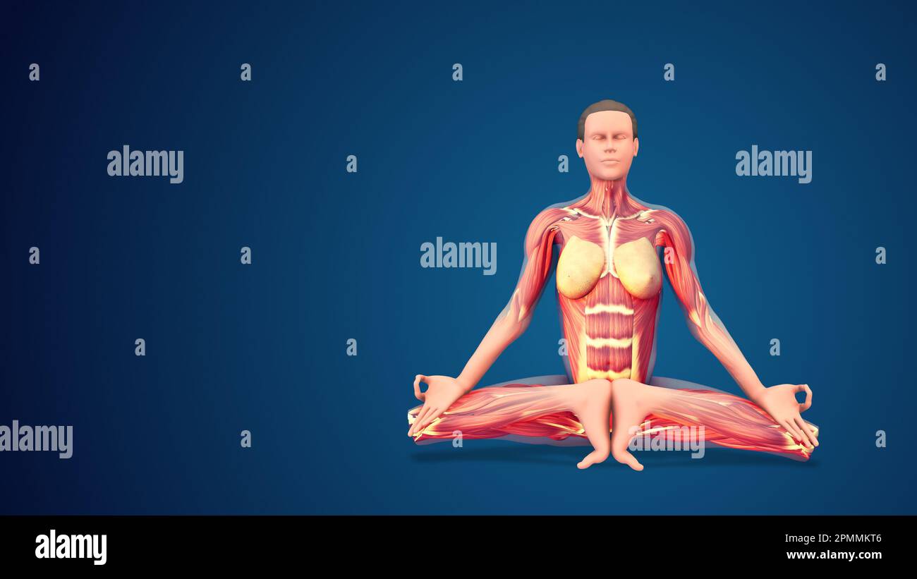 3D human Mulabandhasana or Root Lock yoga pose on blue background Stock Photo