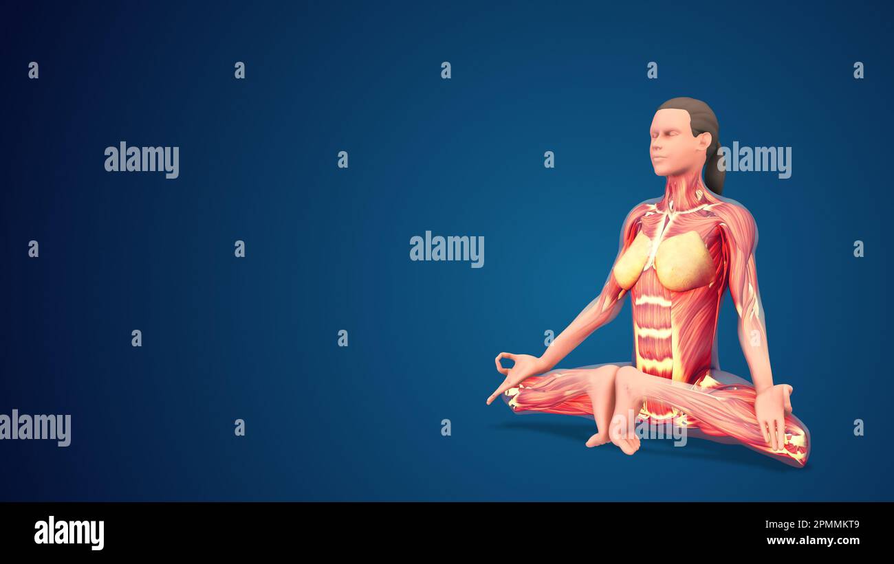 3D human Mulabandhasana or Root Lock yoga pose on blue background Stock Photo