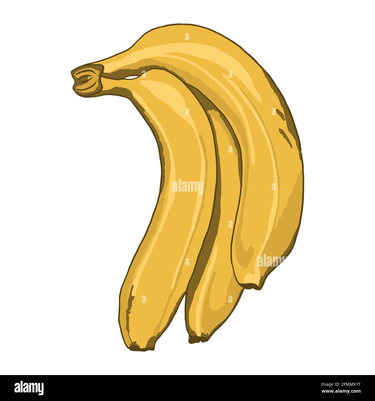 Bananas view Stock Vector Images Alamy