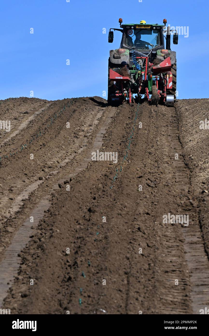 Sedlec, Czech Republic. 12th Apr, 2023. Establishing of 11 hectares New