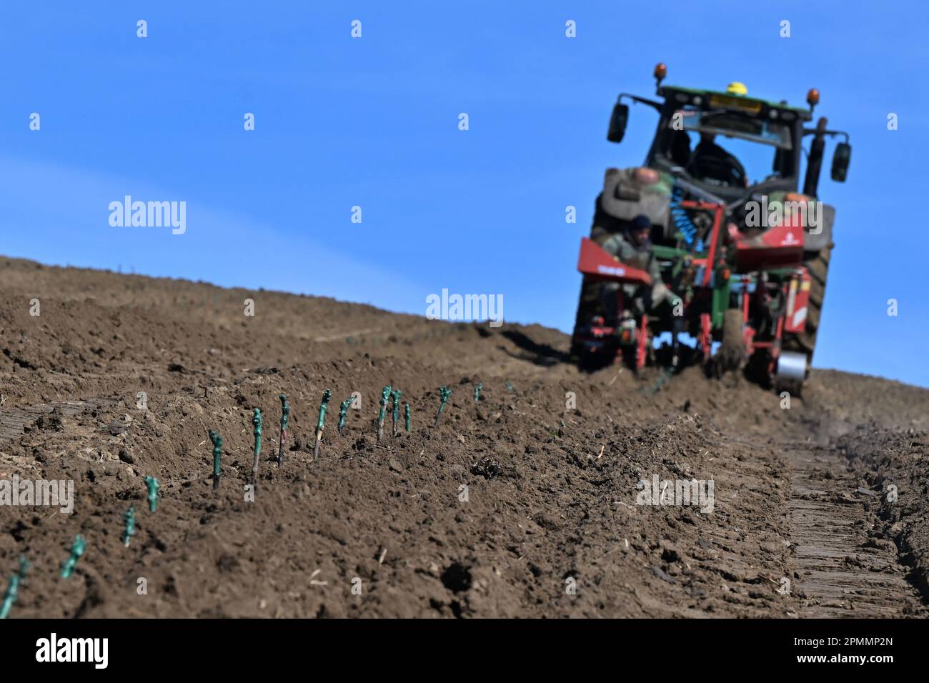 Sedlec, Czech Republic. 12th Apr, 2023. Establishing of 11 hectares New