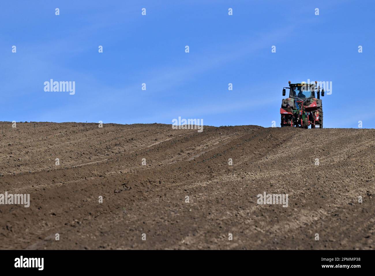 Sedlec, Czech Republic. 12th Apr, 2023. Establishing of 11 hectares New