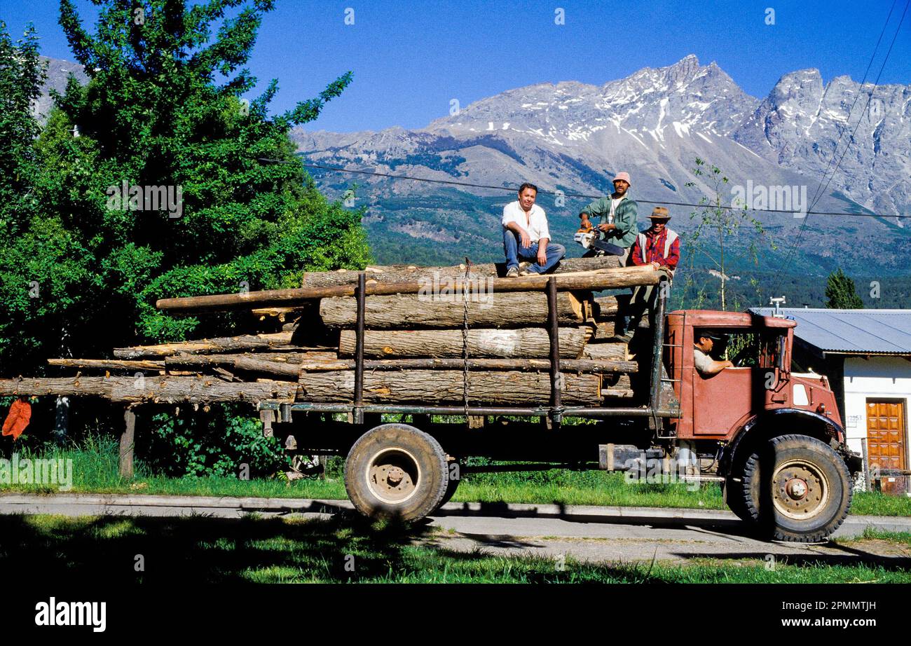 Argentina, Bariloche region. Loggers transporting tree trunks. Stock Photo