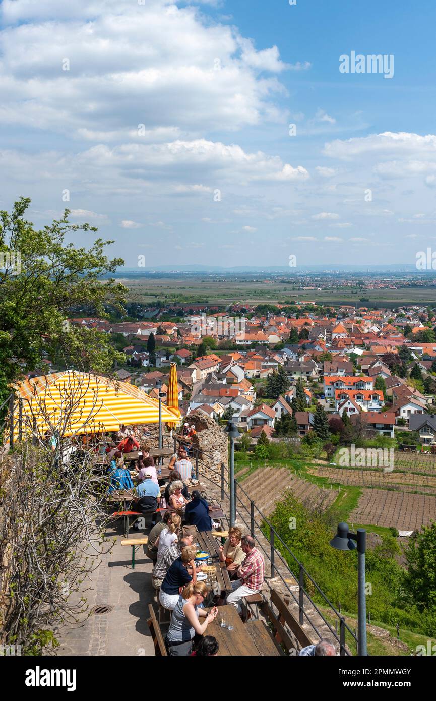 Restaurant of the castle ruin Wachtenburg with a view of Wachenheim and the Upper Rhine Plain, Wachenheim, Palatinate, Rhineland-Palatinate, Germany, Stock Photo