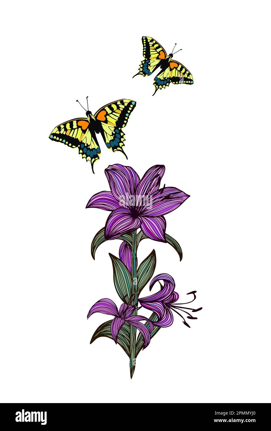 Lily summer butterfly Stock Vector Images - Alamy