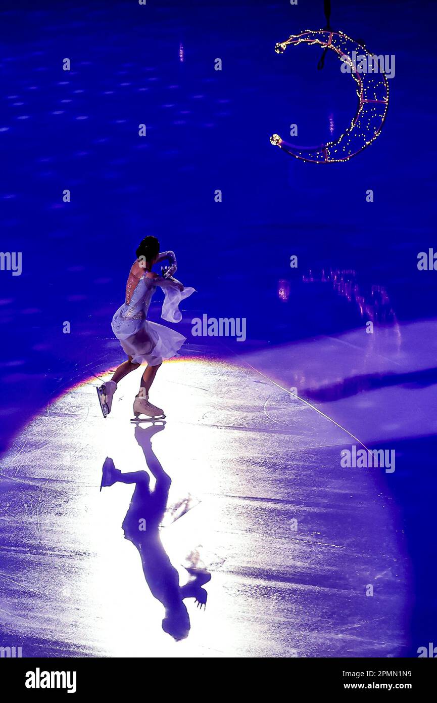 Russian Federation. Moscow. Figure skating. Ice show of the Eteri