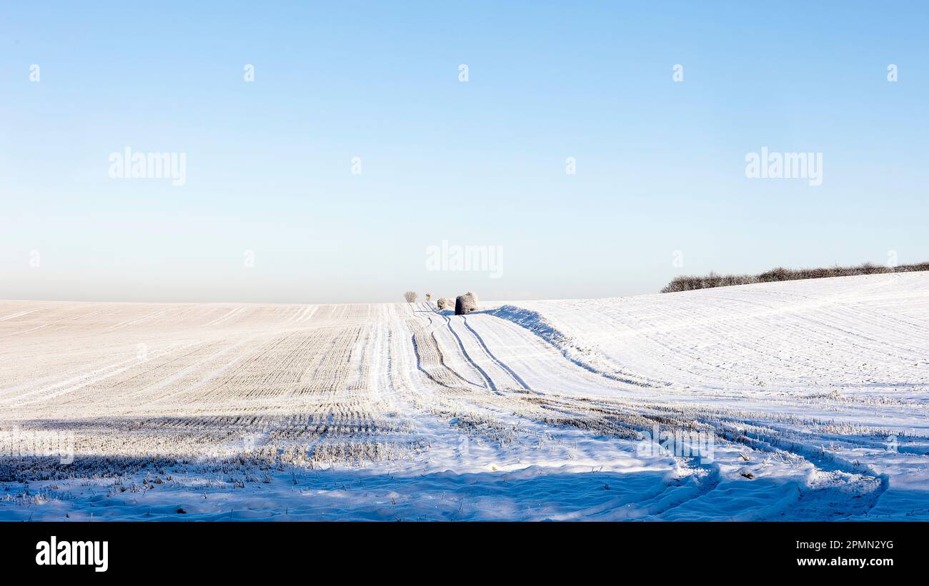 Snow covered fields opposite Beechwoods nr Great Shelford, Cambs Stock Photo